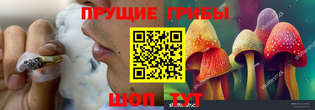 Улан-Удэ  Псилоцибиновые грибы GOLDEN TEACHER  Вход с VPN 